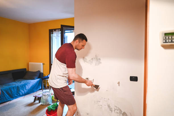 Best Local Mold Removal Service  in Cliffside Park, NJ
